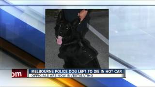 Florida K-9 found dead in cruiser parked outside courthouse