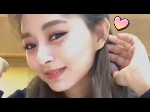 [<strong>V</strong> LIVE] TWICE - 내 인생의 뽀삐 요다를 볼 수 있게 해주셔서 감사합니다.. 땡스 투 갓🧡 (TZUYU talking about her <strong>cats</strong>)
