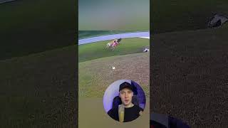 Этот пёс настоящий герой!🔥 #собака #животные