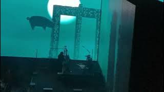 Roger Waters - Comfortably Numb/ Another Brick in the Wall - Live in Salt lake City- 9/8/2022