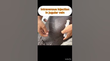 Intravenous injection in jugular vein l dr Umar khan