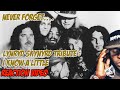 Lynyrd Skynyrd | I Know A Little | REACTION VIDEO