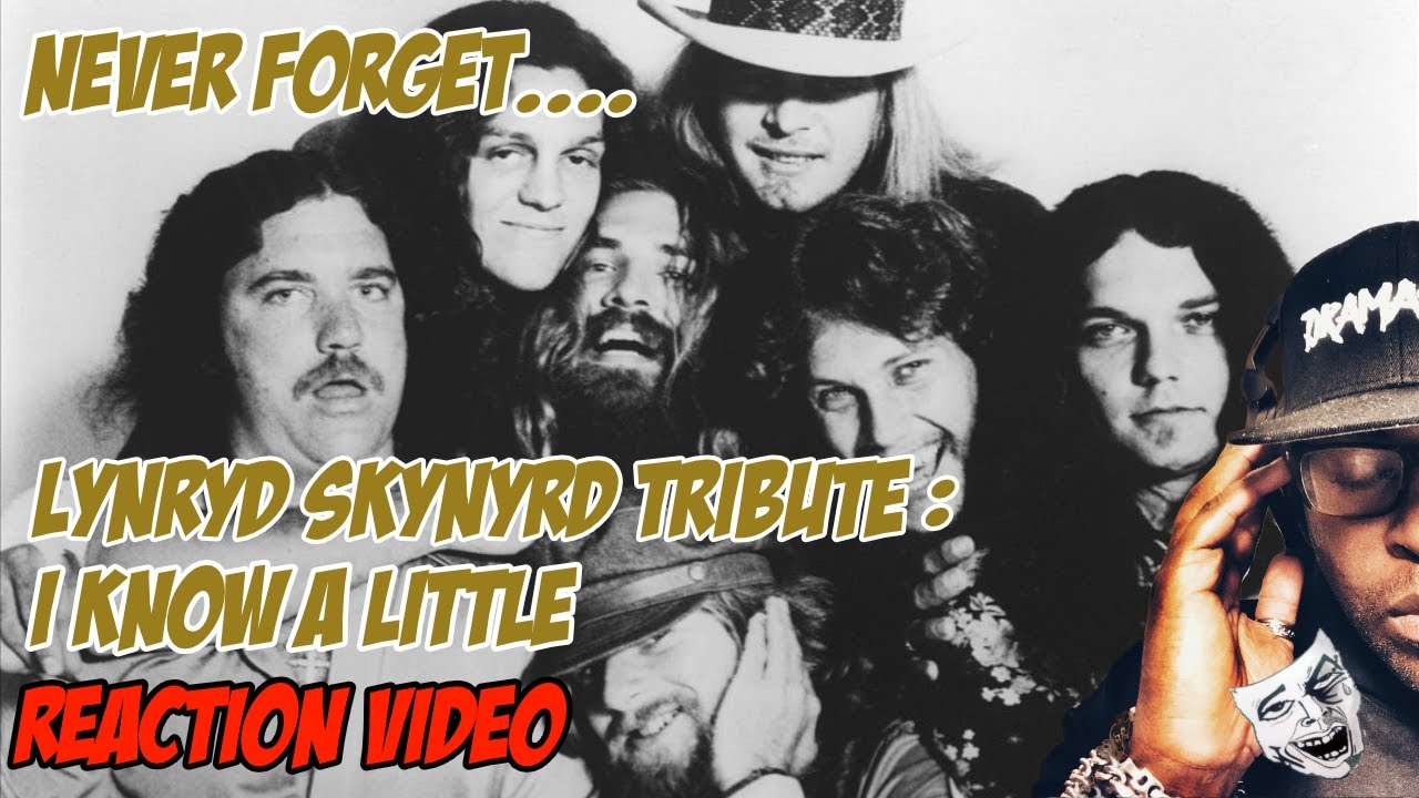 lynyrd skynyrd i know a little