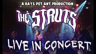 The Struts - Young and Dangerous Tour - (Unofficial Live Concert Flim)