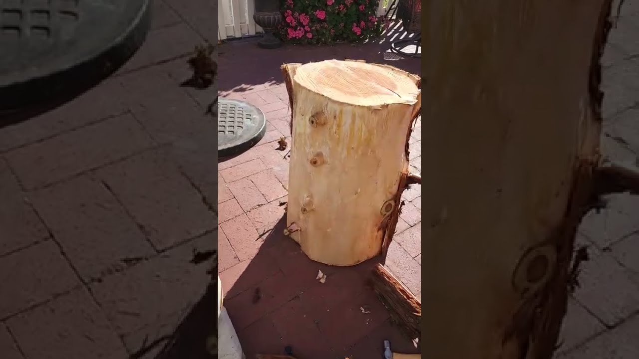 Transform A TREE STUMP Into STUNNING TABLE For Under 10 