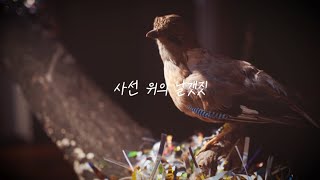 2023부산국제오픈아츠레지던스 사선 위의 날갯짓 - 노주련 작가 전시 작품 영상