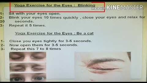 MLZS JHANSI CLASS 2 Computer Chapter 3 Lecture 2