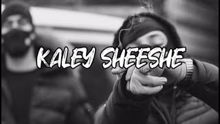 KALEY SHEESHE - ADDY NAGAR | SLOWED REVERB | LYRICS