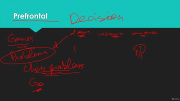 Activities that rewire your brain: the prefrontal cortex