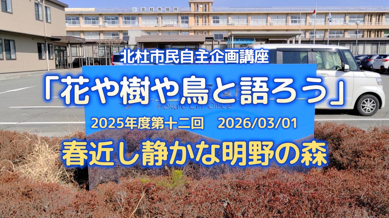 北杜市民自主企画講座「花や樹や鳥と語ろう」2025年度第十二回「春近し静かな明野の森」