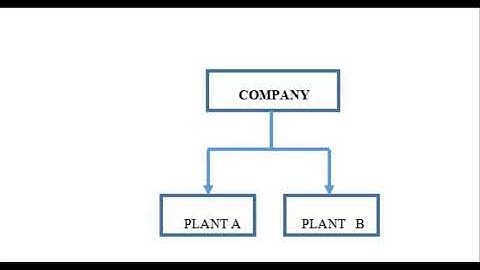 VALUATION LEVEL | WHY IT NEED TO BE SET AT PLANT LEVEL | SAP MM