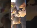 والي ولاية الجلفة اقوجيل سعد للمواطنين دزوا معاهم مانخاف من حتى واحد YouTube والي ولاية الجلفة اقوجيل سعد للمواطنين دزوا معاهم مانخاف من حتى واحد YouTube