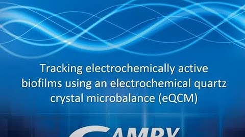 Tracking Electrochemically Active Biofilms Using an EQCM