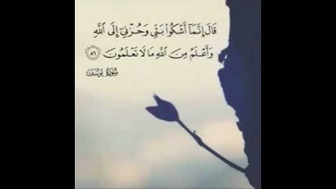 تلاوة قصيرة بصوت يطرد الحزن عن القلب ، حالات واتسآب