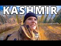 Trekking in kashmirs amazing hidden gem doodhpathri  the valley of milk