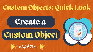 Solution of Salesforce Trailhead - Create a Custom Object