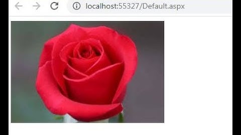 Create Web Form to demonstrate use of Adrotator Control.