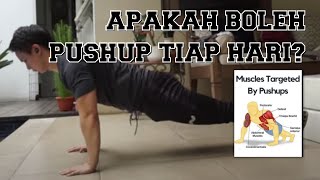 Apakah Boleh Pushup Tiap Hari?