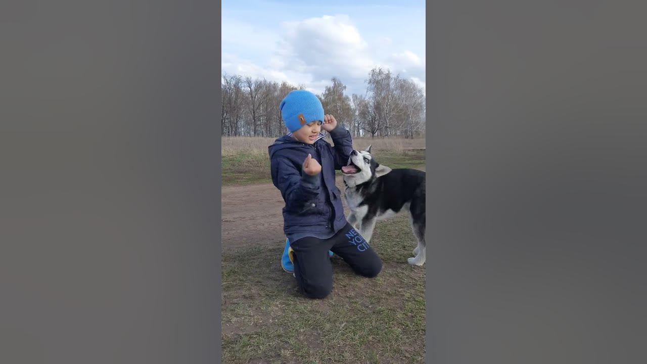 кусачка - YouTube
