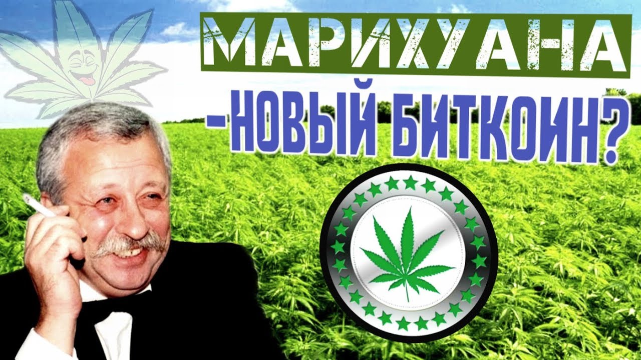 Марихуана в макао как лучше вырастить коноплю дома