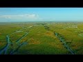Everglades and Mississippi River Ecosystems