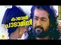 കാവേരീ പാടാമിനി | Kaaveri Padamini | Raajashilpi | Malayalam Film Song