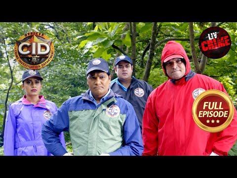 कैसे करेंगी Team CID ​​इस Jungle Mystery को Solve? 