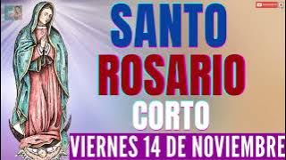 🌹TODAY'S SHORT HOLY ROSARY, FRIDAY, NOVEMBER 14TH🌹PROTECT ME FROM DANGER