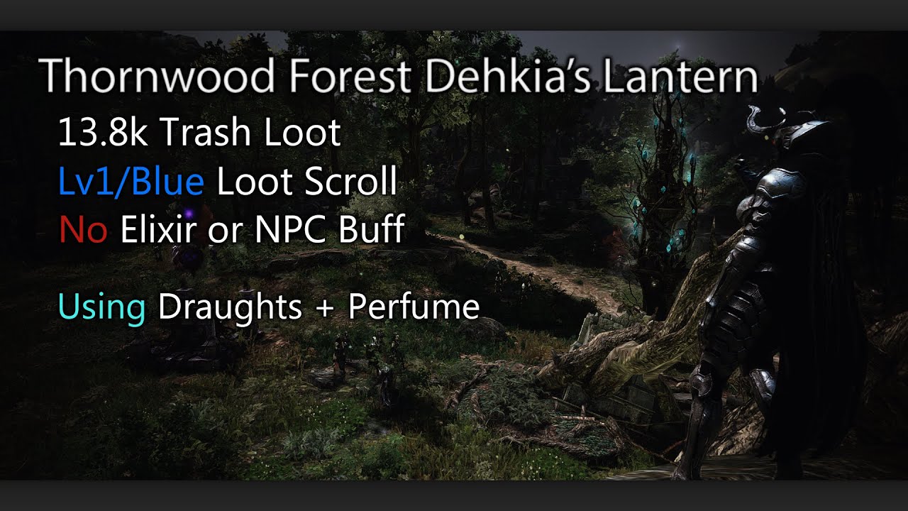 Black Desert Online Guardian Awakening Dehkia Thornwood 13.8k tl