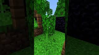 Crystal pvp battle #minecraft #butifyoucloseyoureyes #minecraftpe #crystalgod #crystalpvp