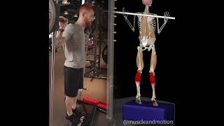 STANDING CALF RAISES