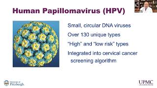 Sight + Sound Bites: HPV and the Changing Epidemiology of Head and Neck Cancer