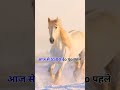 2022 horse and 5500 bce horse mythology royal king mj 1m shorttrending viral viral.