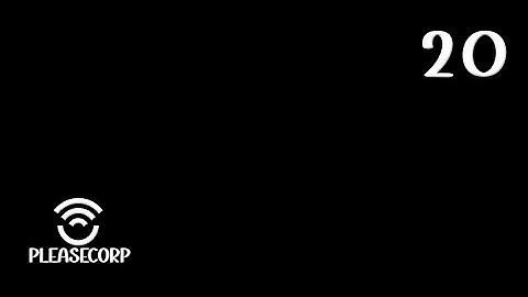 PleaseCorp - Stemmen van de Leegte - 20 "Motoraanpassing"