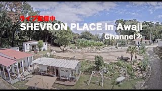 Preview of stream SHEVRON PLACE