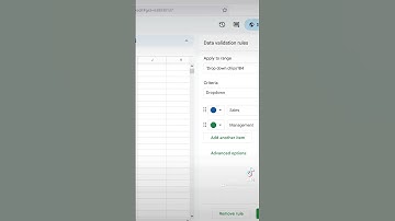 Drop down chips and lists