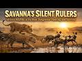 Wilderness | African Wildlife at Its Most Dangerous