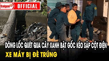 Dông lốc quét qua cây xanh bật gốc kéo sập cột điện, xe máy bị đè trúng | Tin tức SaigonTV