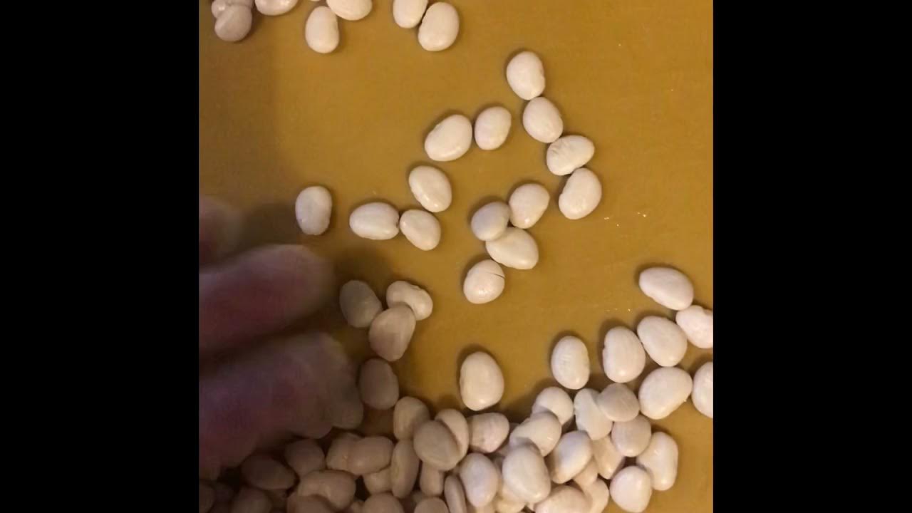 Lima beans and smoked neck bones (cookingwithgrannypeaches ) YouTube