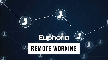 Euphoria Telecom: Remote Working Made Easy