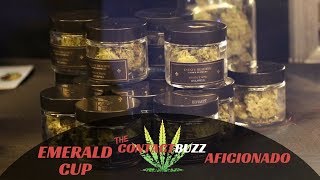 Emerald Cup 2017 - Stop #16 - Aficionado Mendocino - Connoisseur Grade Designer Cannabis Seeds