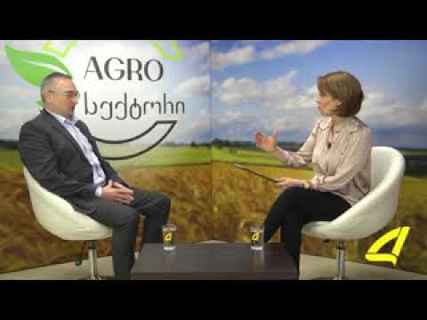 დეკანი AGROსექტორი 2 x264