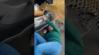 I Just Wanted To Load My Foods