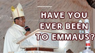 Have You Ever Been to Emmaus | Bishop Godfrey I. Onah | 3rd Sunday of Easter, Year A