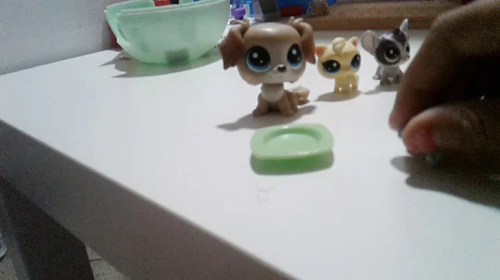 Part 3 various bad trip wise little puppy?!