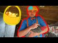 BLIPPI Farm Tour - Learn Animals | ABC 123 Moonbug Kids | Fun Cartoons | Learning Rhymes