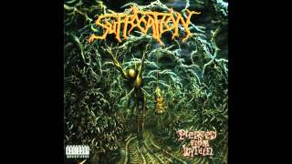 Suffocation - Suspended in Tribulation (HQ)