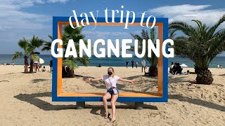 a day trip to GANGNEUNG | mini vlog