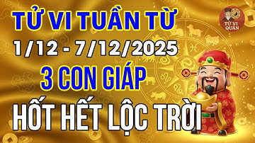 Tử vi tuần mới từ 1/12 - 7/12/2025: Lộ Diện 3 Con Giáp HỐT HẾT LỘC TRỜI, 2 con giáp Nhà Tan Cửa Nát