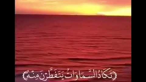و قالو اتخذ الرحمن ولدا / تلاوة هادئة بصوت القارئ عبدالرحمن مسعد